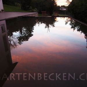 Gartenbecken Bei Nacht 008